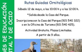Día internacional de la Aves. Parque natural Hoces del Río Duratón.