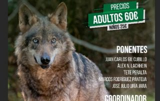 VI Jornadas Loberas. Sebúlcor 2018.