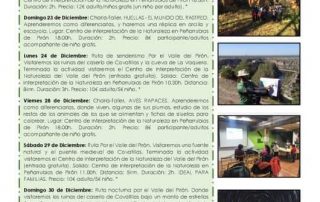 Navidad en el campo.