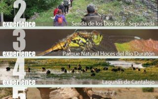 experiencias en la naturaleza