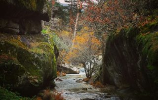 Rutas por el Parque Nacional Sierra de Guadarrama