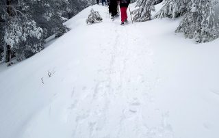 Esquí nórdico Navafría. Segovia. Raquetas de Nieve.