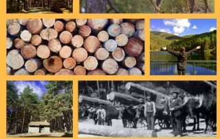 Excursión didáctica por el Parque Nacional Sierra Norte de Guadarrama