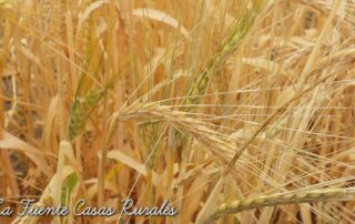 Ofertas julio. Casas rurales.