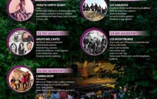 Conciertos de verano. Segovia.