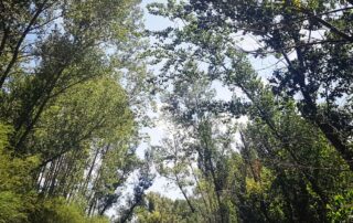 ofertas septiembre 2019 casas rurales Segovia