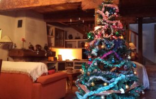 Oferta Navidad 2019 Casas rurales Segovia