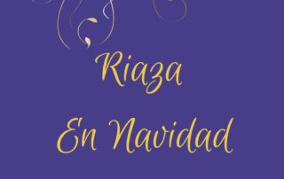 Navidad 2019/2020 Riaza