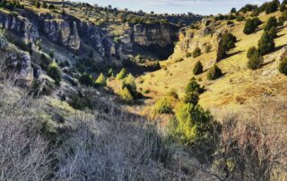 Ruta Arrecife de Castrojimeno