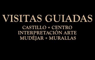 Visitas Guiadas. Castillo de Cuéllar