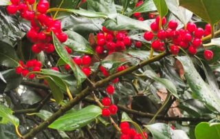 Rutas Guiadas Parque Nacional