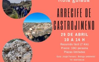 Ruta por el Arrecife de Castrojimeno.