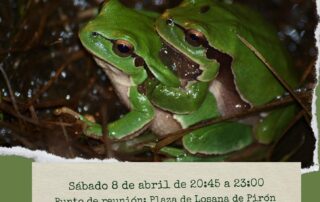 Actividades en al naturaleza
