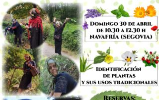Ruta Botánica en Navafría