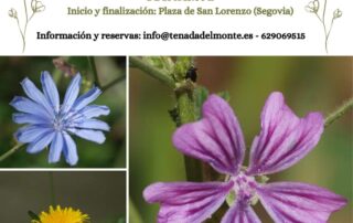 Ruta Etnobotánica Valle del Eresma