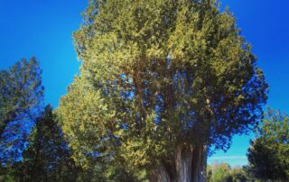 Segovia Destino Natural