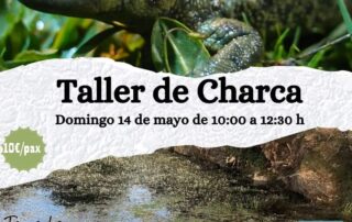 Taller de Charca. Segovia.