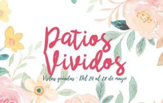 Los Patios Vividos. Segovia