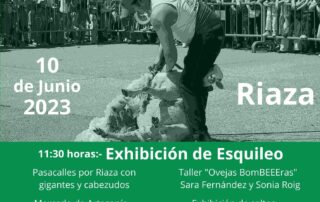 XV Fiesta del Esquileo de Riaza