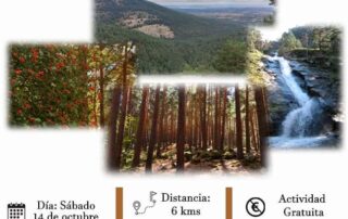 Ruta por el Pinar de Navafría