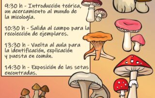Taller Micológico en Navafría