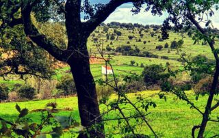 Segovia Turismo en Familia.