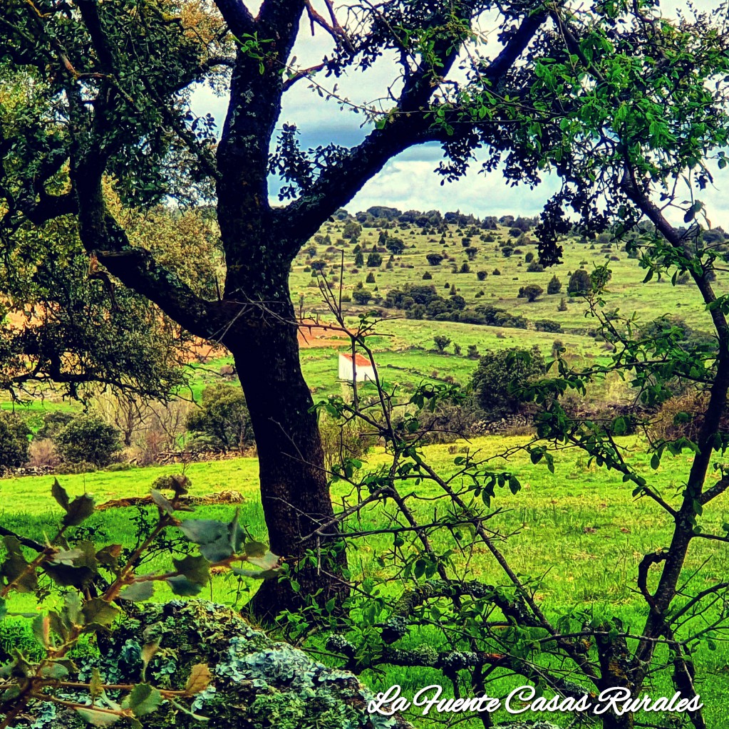 Segovia Turismo en Familia.