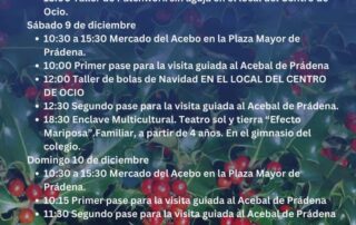 Mercado del Acebo de Prádena 2023