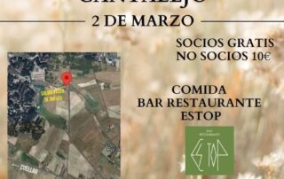 Paseo Bueyes en Cantalejo