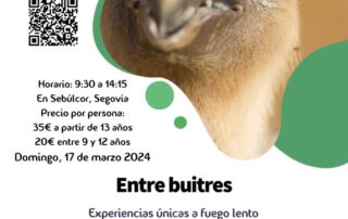 Experiencia entre Buitres
