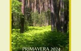 Programa de Rutas Guiadas y Excursiones Didácticas