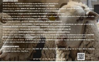 Fiesta de la Transhumancia.