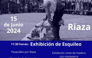 XVI Fiesta Del Esquileo De Riaza