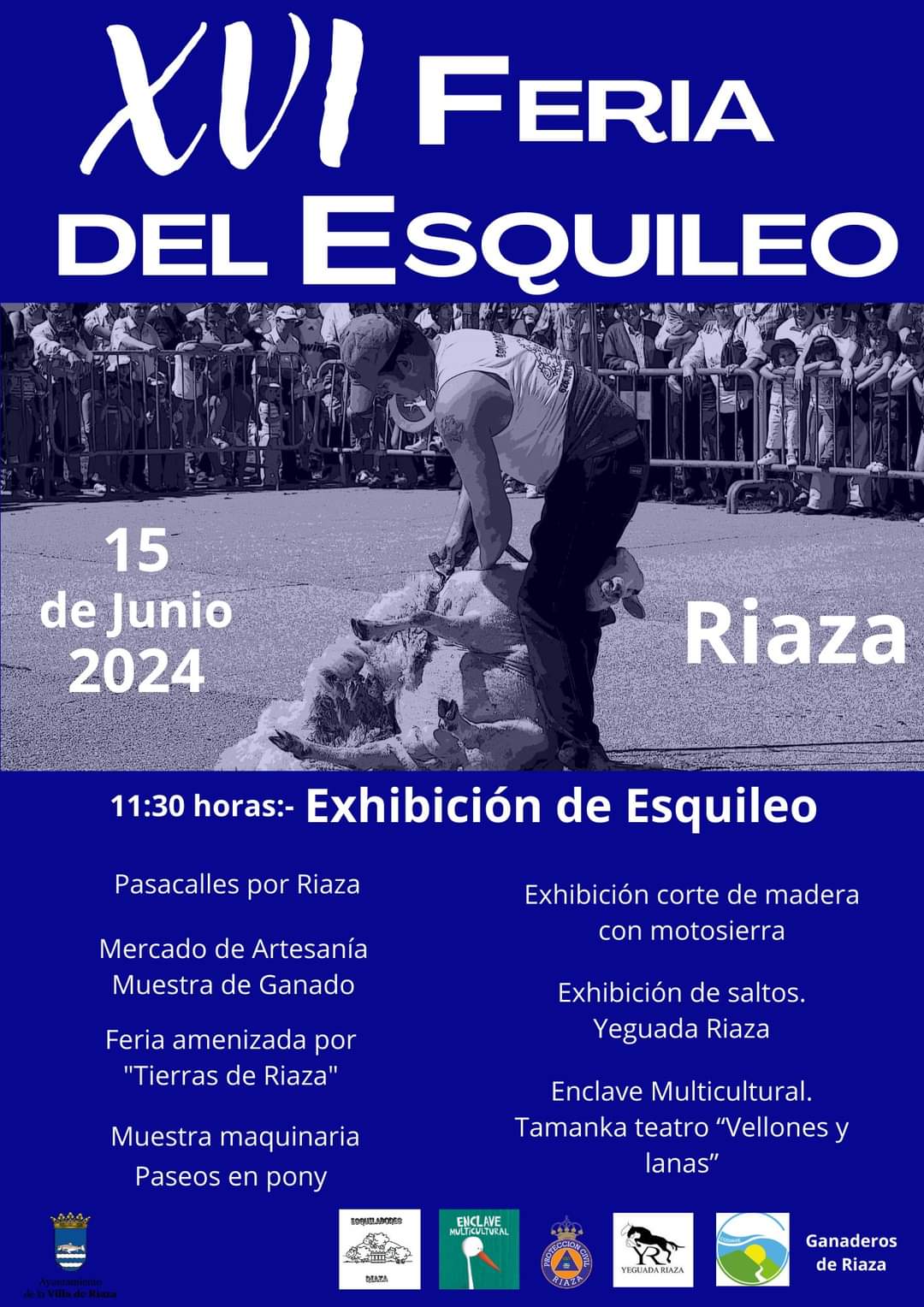 XVI Fiesta Del Esquileo De Riaza