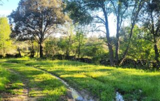 Ofertas junio 2024. Casas Rurales La Fuente.