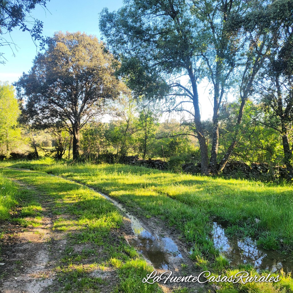 Ofertas junio 2024. Casas Rurales La Fuente.