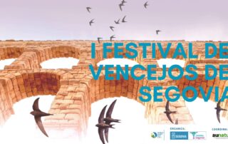 I Festival de Vencejos en Segovia