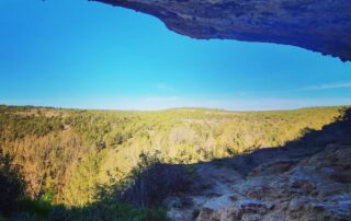 Georuta Cuevas barrancas y troncos fósiles.