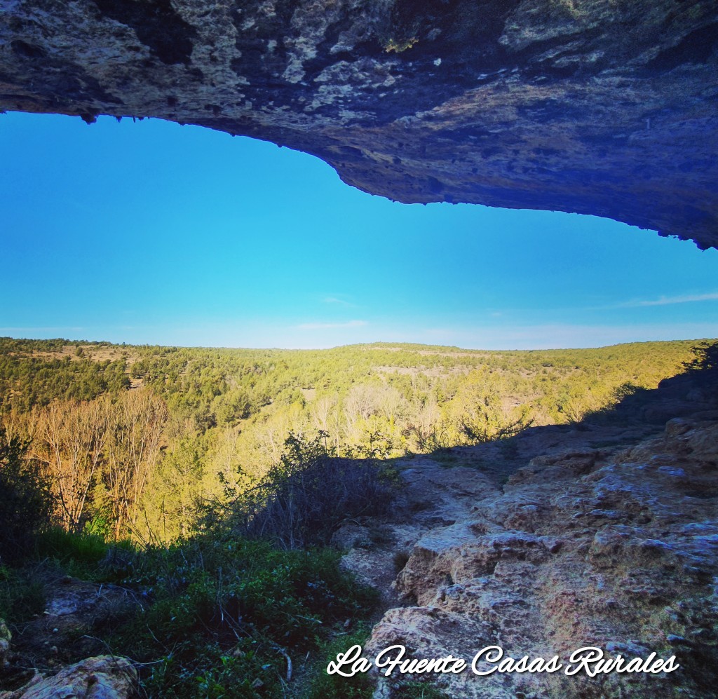 Georuta Cuevas barrancas y troncos fósiles.