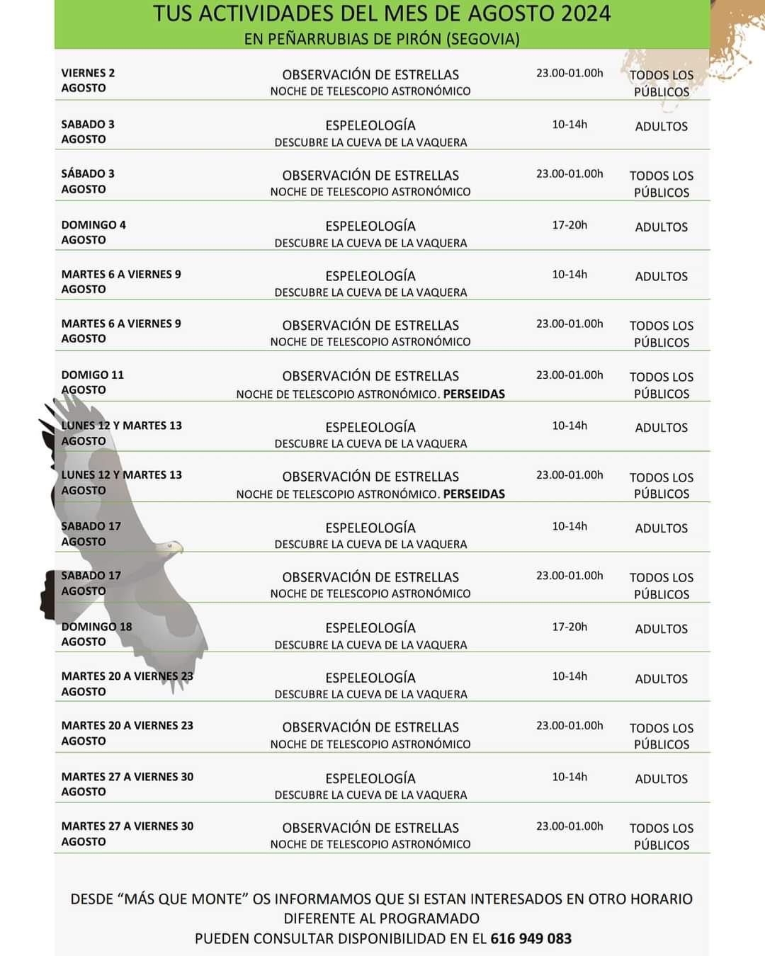 Actividades de Verano en la Naturaleza.