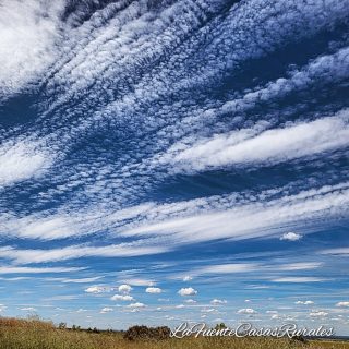 Ofertas Septiembre 2024