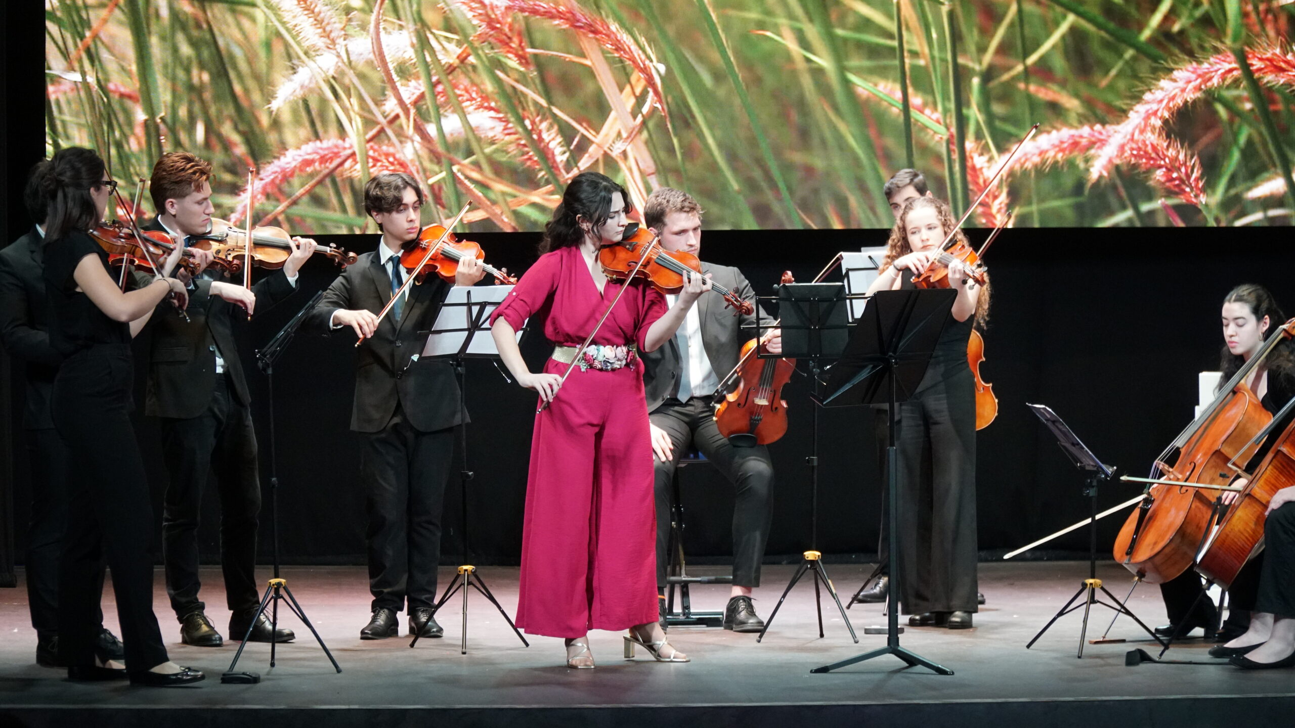 Matinés Musicales 2024 en el Real Sitio de San Ildefonso