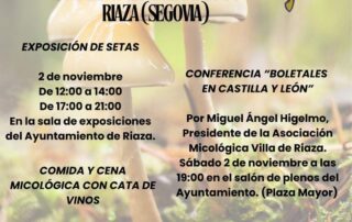 Jornadas micológicas villa de Riaza 2024