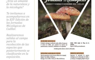 XXV Edición de las Jornadas Micológicas de Cuéllar.