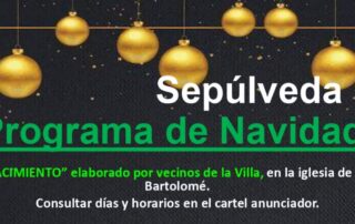 Programa de Navidad 2024. Sepúlveda.