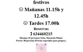 visitas guiadas al castillo de Turégano