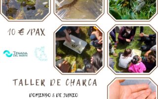 Actividades en la naturaleza junio 2025