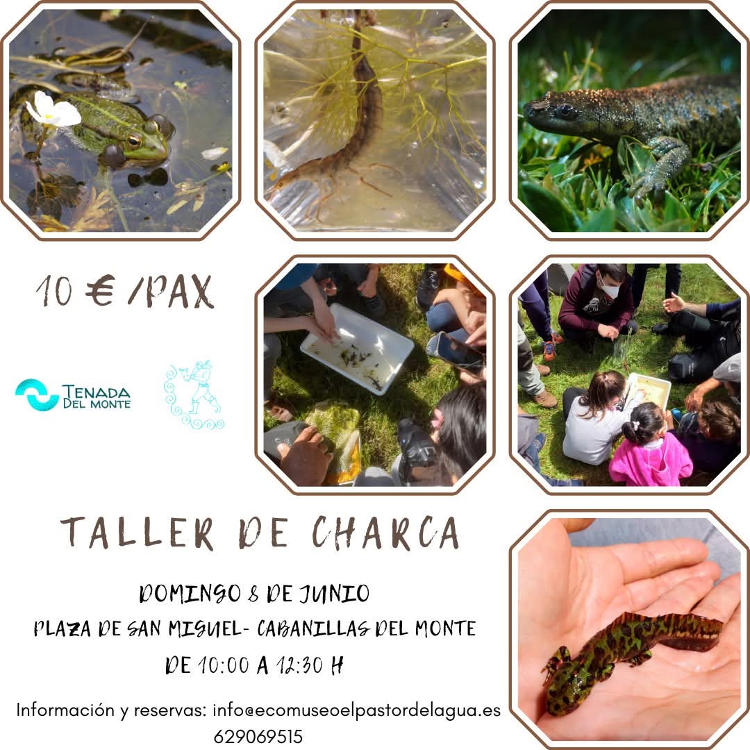 Actividades en la naturaleza junio 2025