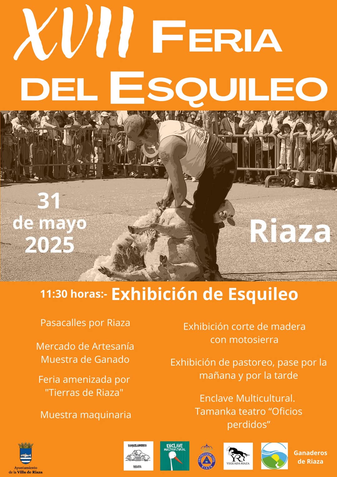 XVII Fiesta del Esquileo De Riaza