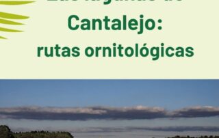 Senderismo en las Lagunas de Cantalejo